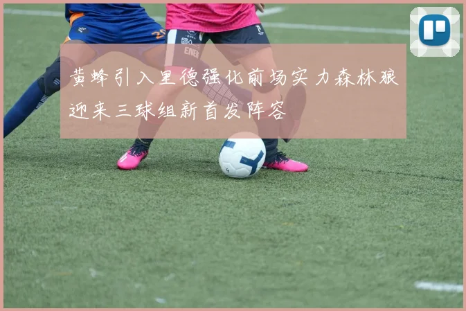黄蜂引入里德强化前场实力森林狼迎来三球组新首发阵容