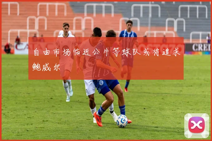 自由市场临近公牛等球队或将追求鲍威尔